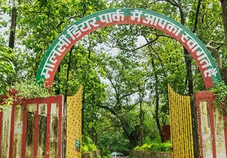 UHRC took action on the hunger of 2 tigers