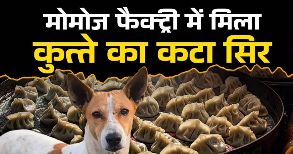 खान बेकरी के मालिक ने कुत्ते का मांस मोमोज में डालकर लोगों को खिलाया