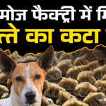 खान बेकरी के मालिक ने कुत्ते का मांस मोमोज में डालकर लोगों को खिलाया