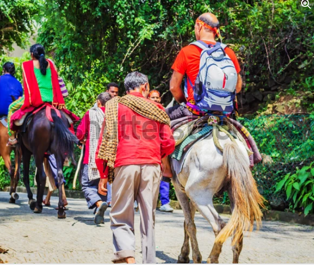 नवरात्र में मां वैष्णो देवी के दर्शन लिए देशभर से श्रद्धालुओं का सैलाब, सवा लाख से अधिक भक्तों ने किए दर्शन