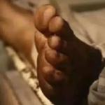 बैंच पर बैठे दो बुजुर्गों को टक्कर मार दी एक की मौत दूसरा घायल, चालक फरार पुलिस ने लिया वाहन कब्जे में