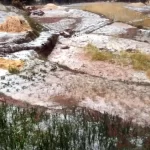 उत्तराखंड में बारिश और ओलावृष्टि के कारण बागवानी फसलों को भारी नुकसान