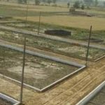 वाराणसी में जिला प्रशासन को मिली बड़ी सफलता,300 करोड़ की बंजर भूमि माफिया से मुक्त