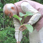 विश्व पर्यावरण दिवस पर पीएम मोदी ने अपने आवास पर लगाया सिंदूर का पौधा