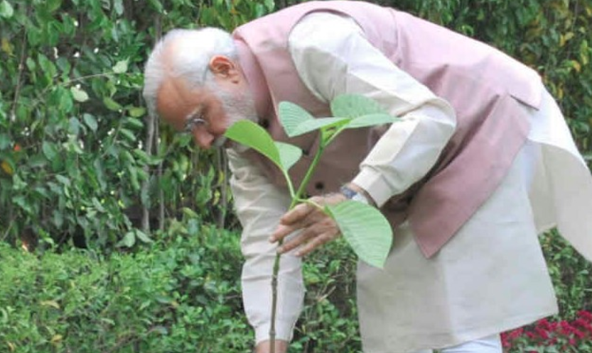 विश्व पर्यावरण दिवस पर पीएम मोदी ने अपने आवास पर लगाया सिंदूर का पौधा