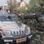Tree Falls on Vehicle in Dehradun, One Dead