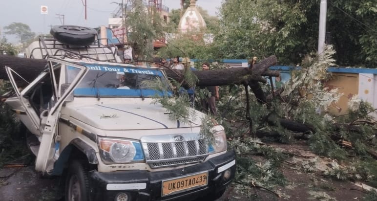 Tree Falls on Vehicle in Dehradun, One Dead