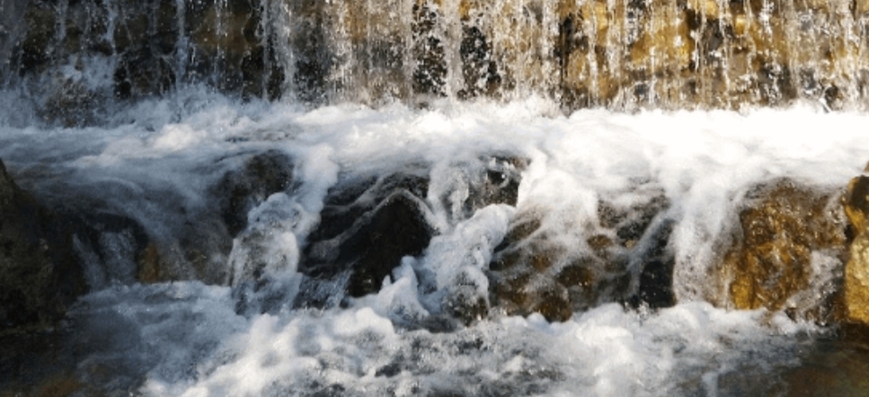 Dehradun: Medicinal properties of sulphur-rich water of Sahastradhara should be preserved