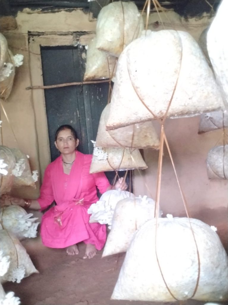 मशरूम उत्पादन से बदली तक़दीर, अब हर महीने 18 हजार कमा रहीं माहेश्वरी देवी