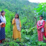 उच्च मूल्य एवं गुणवत्ता वाली फसलों पर करें फोकस: जिलाधिकारी