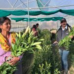 उद्यमिता से स्वरोजगार बढ़ाकर पलायन रोक रही ग्रामोत्थान परियोजना